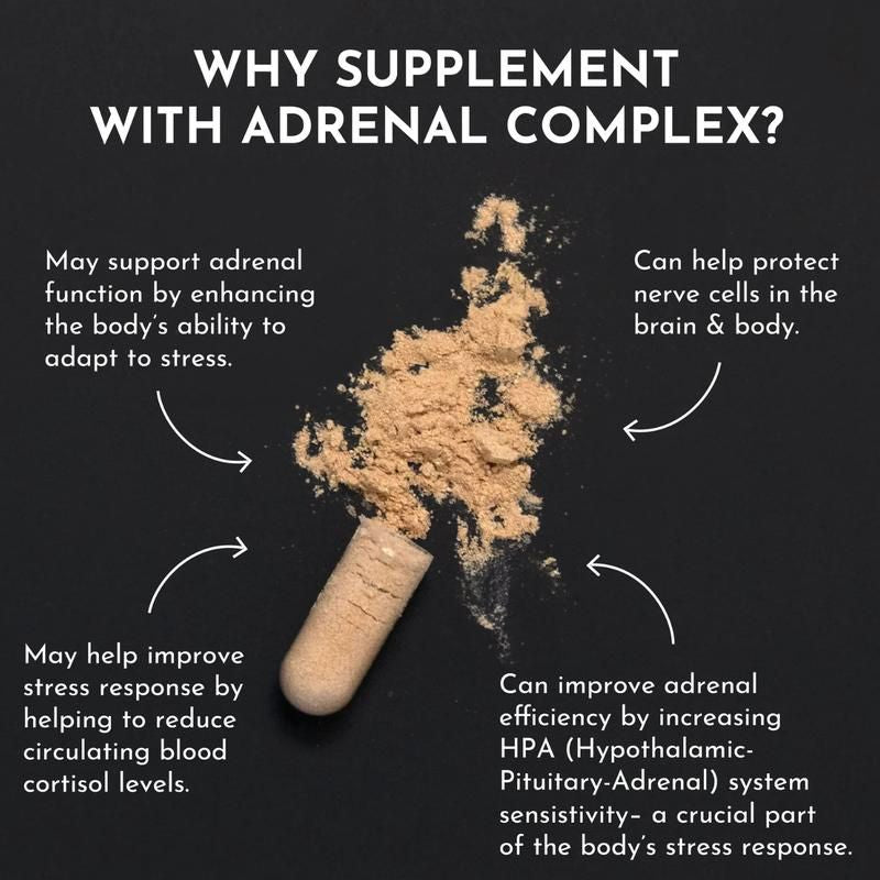 ReBalance+ Adrenal Complex